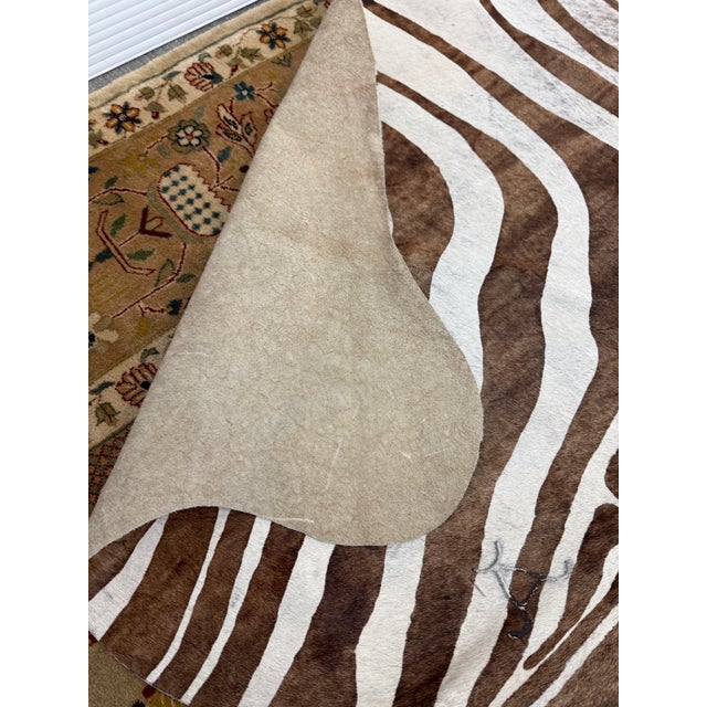 Off-white 5ft 1in × 5ft 8in Zebra Printed Hair on Hide Area Rug For Sale - Image 8 of 12