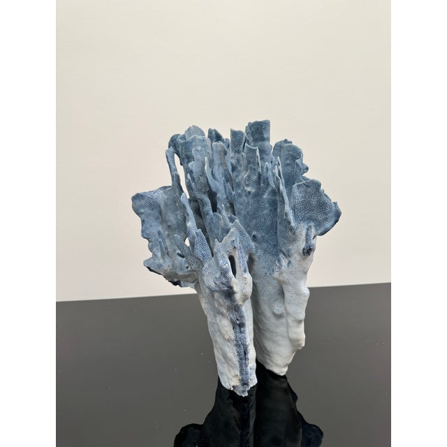 Very Large Specimen of Blue Coral For Sale - Image 4 of 12