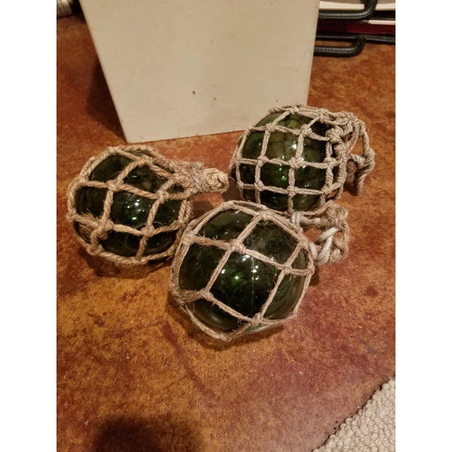 Group of three green glass balls in netting.