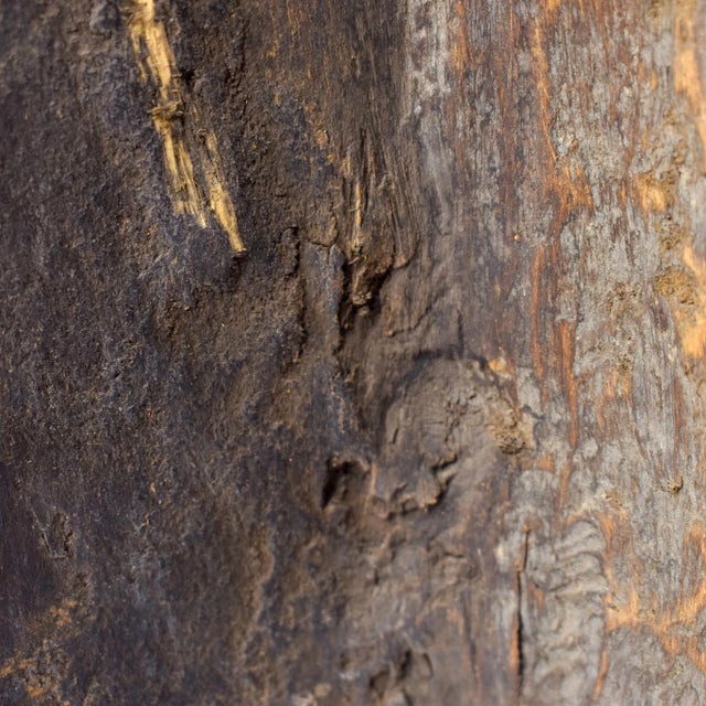 African Antique Wood Mask For Sale - Image 17 of 18