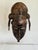 Tribal 20th Century Baule Portrait Mask in Lucite Museum Display For Sale - Image 3 of 10