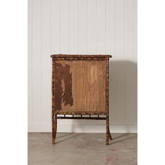 19th Century Tortoise Bamboo 2-Door Glass Front Cabinet For Sale In Charleston - Image 6 of 10