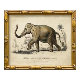 Contemporary Reproduction of Vintage Framed Elephant Giclee Print For Sale