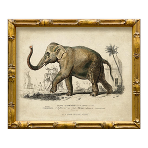 Contemporary Reproduction of Vintage Framed Elephant Giclee Print