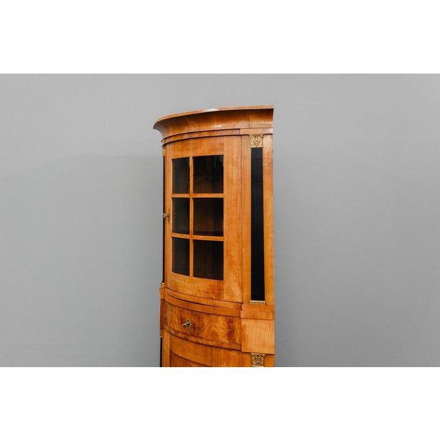 19th Century Biedermeier Corner Display Cabinet For Sale - Image 17 of 18