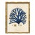 Contemporary Set of 4 Vintage Blue Seaweed Art Print Reproductions (Set of All 4) Framed For Sale - Image 3 of 7