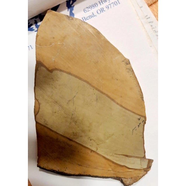 Gemstone 1960s Natural Jasper Cat Shaped Rock For Sale - Image 7 of 9