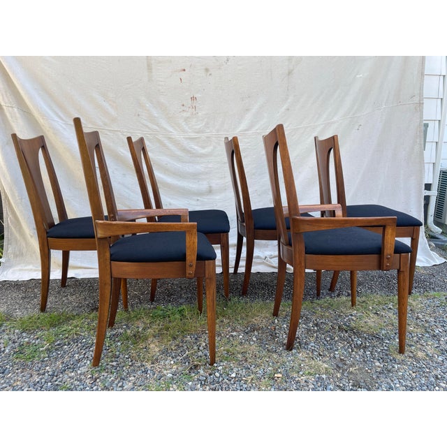 Mid 20th Century Set of 6 Mid-Century Modern Broyhill Brasilia Sculpted Walnut Dining Chairs For Sale - Image 5 of 12