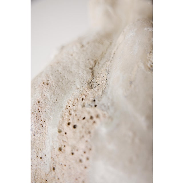 Ceramic Orbicella Moon Vase For Sale - Image 7 of 7