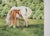Farmhouse Mare and Foal Horse Painting, Pamela Baldwin Original Mixed Media For Sale - Image 3 of 5