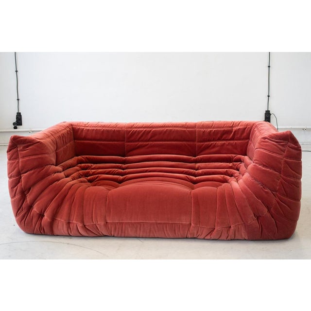 Vintage Two-Seat Togo Sofa with Arms in Burgundy Velvet by Michel Ducaroy for Ligne Roset, 1970s For Sale - Image 13 of 18