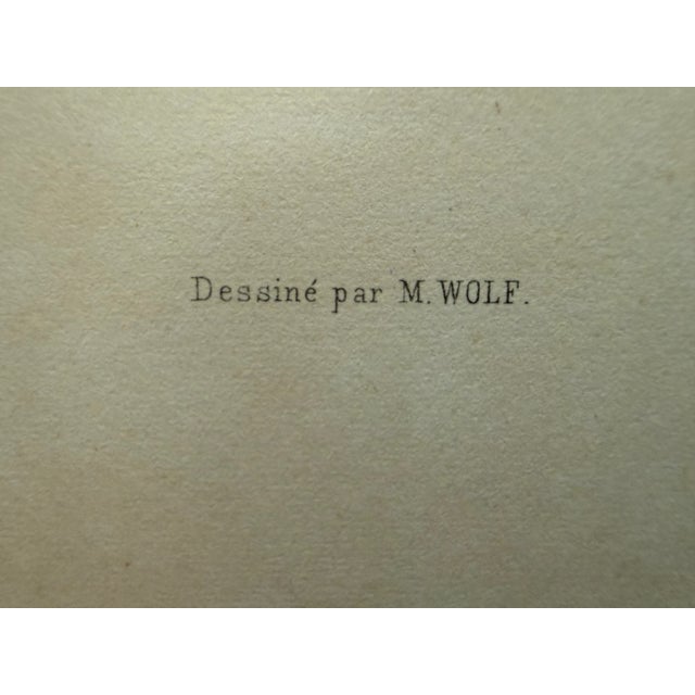 Mid 20th Century Framed Print of Greenland Falcon, Joseph Wolf, From "Traité De Fauconnerie" For Sale - Image 10 of 14