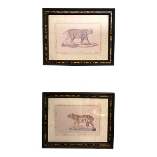 John-Richard Framed Nature Prints of a Tiger & Wildcat Pair Faux Tortoiseshell Wood 16x12.5 For Sale