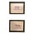 John-Richard Framed Nature Prints of a Tiger & Wildcat Pair Faux Tortoiseshell Wood 16x12.5 For Sale