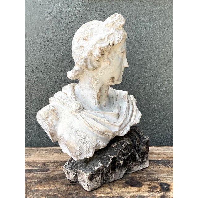 Vintage Cast Stone Bust of Apollo Belvedere For Sale - Image 12 of 18
