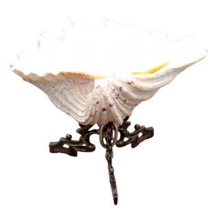 Shell Ring Dish with Silver Stand For Sale