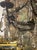 Metal 19th C. Italian Bronze and Crystal Chandelier For Sale - Image 7 of 9