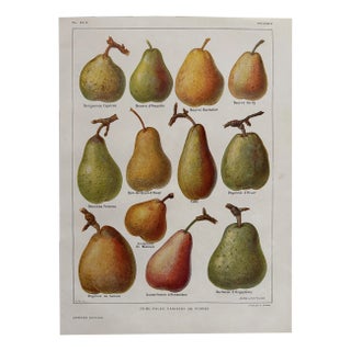 Chart with Fruit by Maurice Dessertenne For Sale