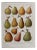 Chart with Fruit by Maurice Dessertenne For Sale