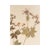 Vintage Swedish Herbarium - Geranium, Circa 1958 For Sale - Image 4 of 5