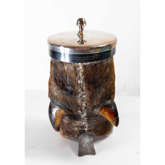 Late 19th Century 19th Century Victorian Taxidermy Moose Hoof Knuckle Box or Ashtray For Sale - Image 5 of 10