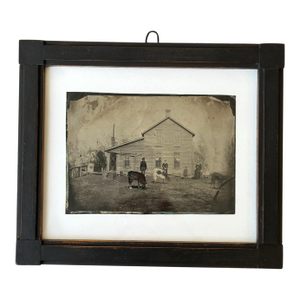 Antique Framed Homestead Tintype Portrait With Cows, Circa Last Quarter 19th Century