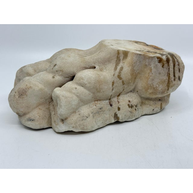 Antique Classical Marble Stone Fragment Lions Claw For Sale - Image 9 of 16