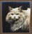 Incredible portrait of a cat. Gelatin silver photograph. Circa 1910. Original hardwood frame. Very large 27" x 24".