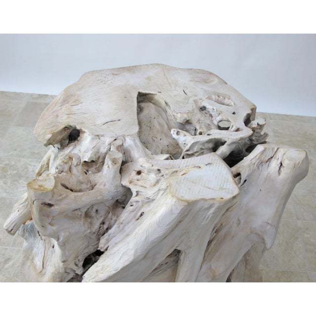 White Contemporary Organic Modern Teak Root Sculpture 2 For Sale - Image 8 of 10