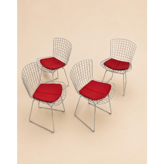 1970s Wire Chairs by Harry Bertoia for Knoll Int., 1970s, Set of 4 For Sale - Image 5 of 9