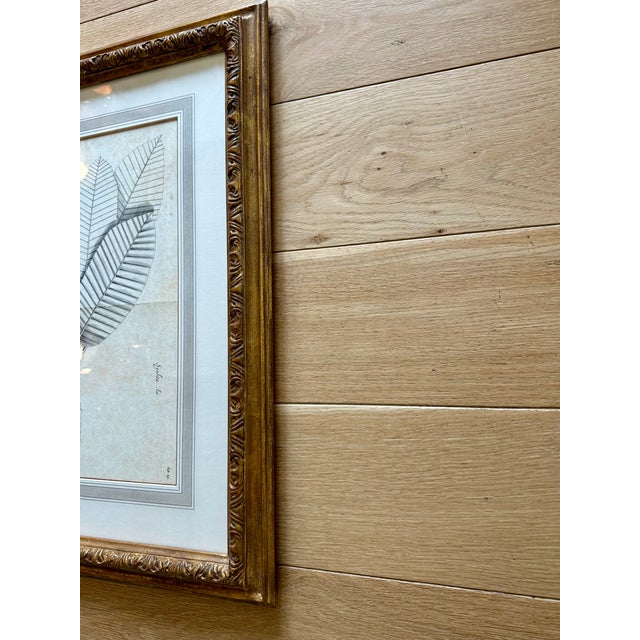 A timeless botanical print presented in a beautifully crafted gilded frame by esteemed Los Angeles design house Dennis &...
