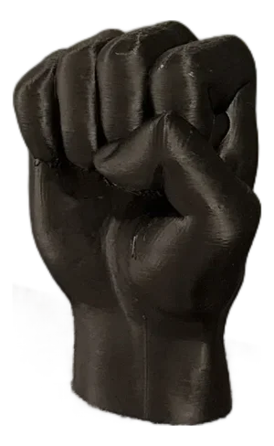 Fist Home Decor Shelf Art