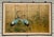 Early 20th Century Japanese Four-Fold Byobu Screen With Cranes and Young Bamboo For Sale - Image 14 of 18