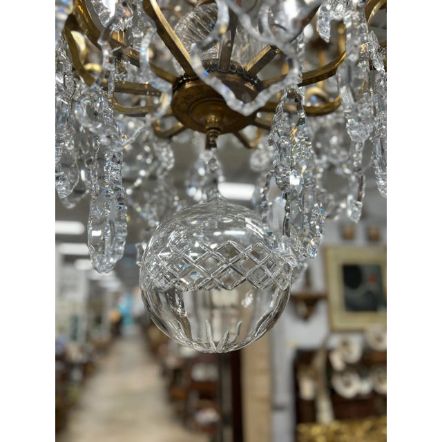 Palatial 19th Century French Louis XV Style Gilt Bronze and Crystal 16 ...