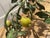 Florentine Painted Tole Lemon Tree Side Table, Italy, 1970s For Sale - Image 4 of 17