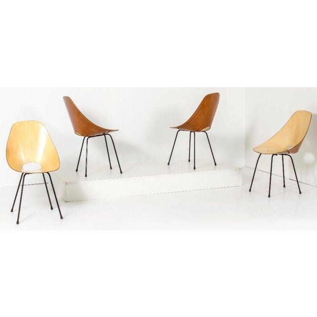 Medea Chairs by Vittorio Nobili, Italy, 1955, Set of 4 For Sale - Image 4 of 5