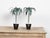 Metal Pair of French Midcentury Palm Tree Sculptures in Black Tapering Pots For Sale - Image 7 of 10