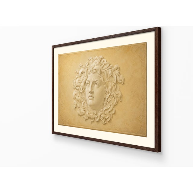 Atelier Aria Lumae Wilhelm Zahn Style Pompeian Medusa Gorgoneion Trompe lOeil Relief Fine Art Gallery Board Print 30 X 20 For Sale - Image 15 of 18