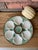 1930s French Longchamp Green and White Majolica Oyster Plate For Sale - Image 14 of 14