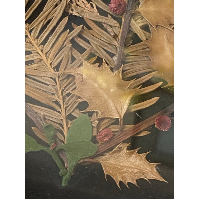 Black Set of 4 Hand Crafted Framed Pressed Flower Art/Wall Decor For Sale - Image 8 of 12