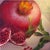 Elena Mardashova, Pomegranate, Oil Painting, 2023 For Sale