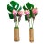 Siam Tulip in Bamboo For Sale