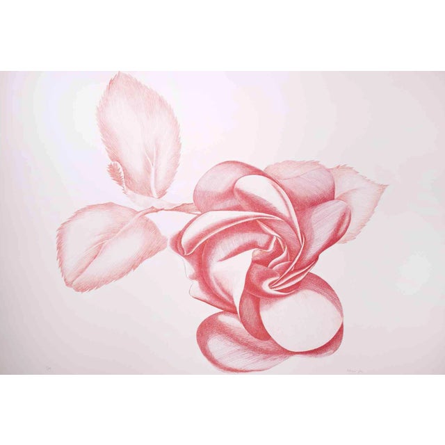 Giacomo Porzano, Red Rose, Original Etching, 1970s For Sale