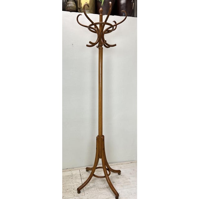 Free Standing Coat Rack in the style of Thonet, 1950s For Sale - Image 15 of 15