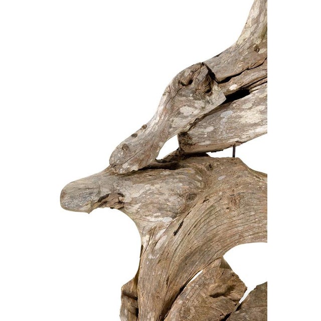 Teak Root Wood Armchairs, Set of 2 For Sale - Image 9 of 17