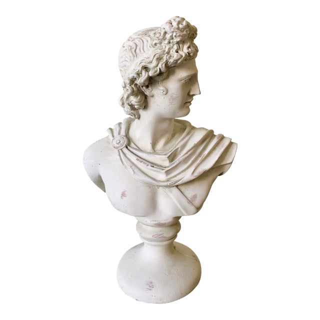 Classical Plaster Bust of Mythological Apollo Belvedere Sculpture For Sale