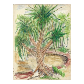 1940s Grace Spongberg Manoa Park Lagoon Hawaii Drawing For Sale