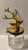 For your consideration. . . A small figural mustard pot in the form of a stag's head. The top of the mustard pot features...
