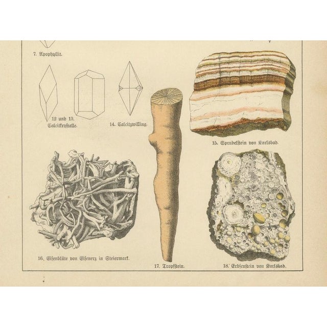 Late 19th Century Antique Mineralogy Chromolithographs of Granite, Calcite and Fossil, 1888, Set of 2 For Sale - Image 5 of 12