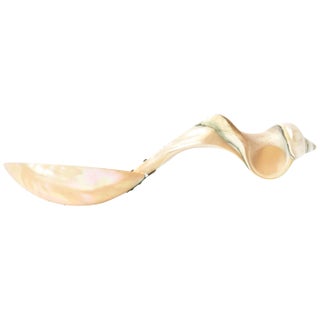 Vintage Organic Mother-of-Pearl Sculptural Serving Spoon For Sale